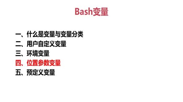 位置参数变量
