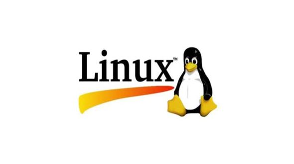 [Linux C语言] 输入流输出流以及错误流的重定向