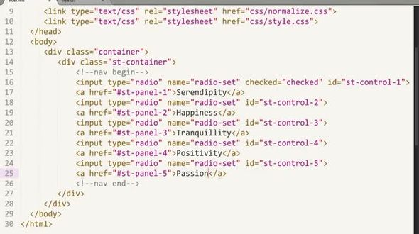 使用radio制作导航（添加样式）