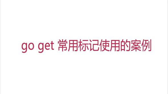 go get 常用标记案例演示