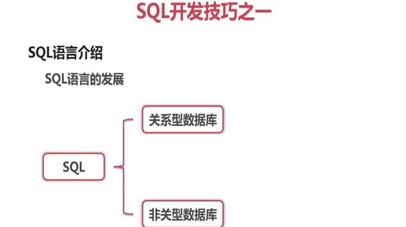 SQL语句分类