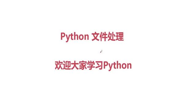 python文件操作之文件指针