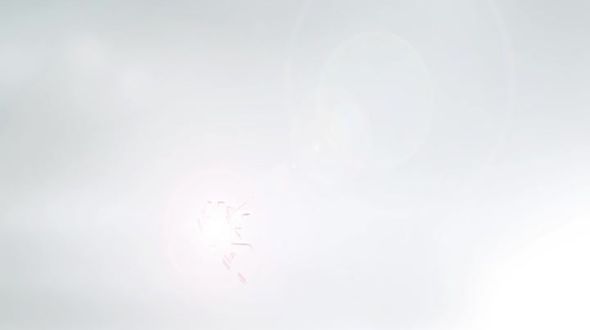 .NET简介