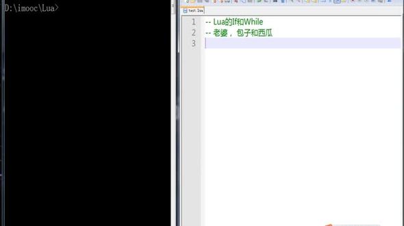 Lua语法结构之If和While