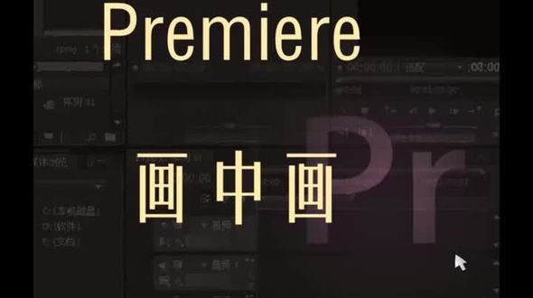 画中画 画面 轨道 添加轨道 删除轨道 控制时间  旋转点 设置