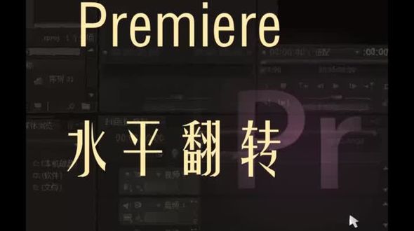 水平翻转，裁剪，视频特效，关键帧