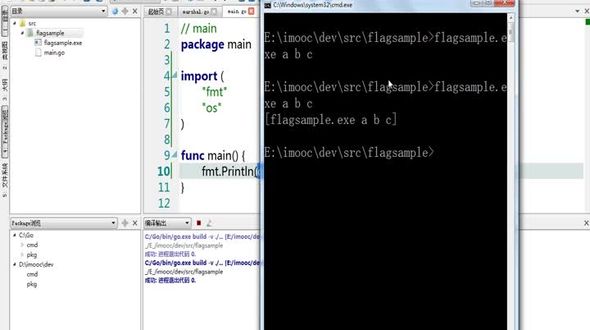 使用flag获取复杂参数