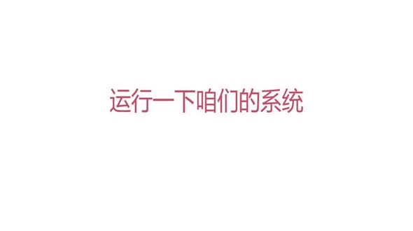 项目效果演示