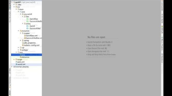 DAO层单元测试编码和问题排查(上)