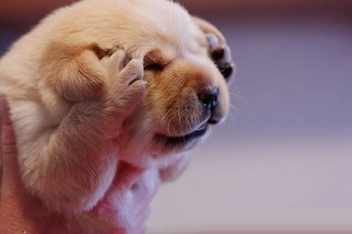 每当编程之路走得越远,越是感觉惶恐不安