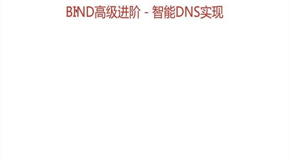 智能DNS初识