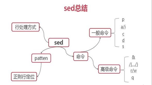 sed学习总结