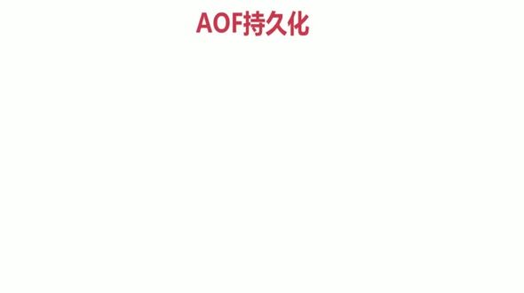14-Redis的持久化的AOF的方式