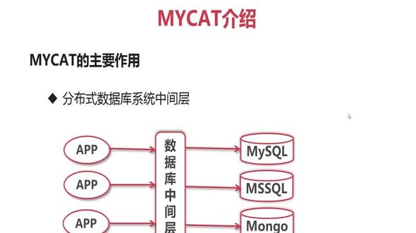 MyCAT的主要功能