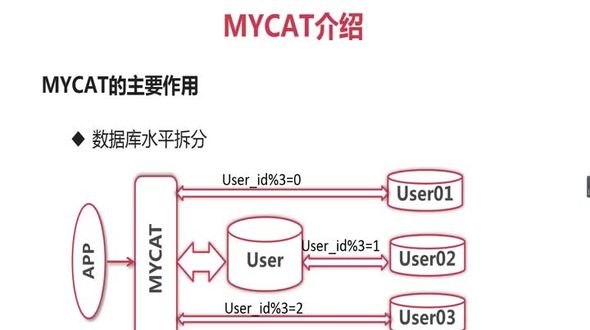 MyCAT的应用场景