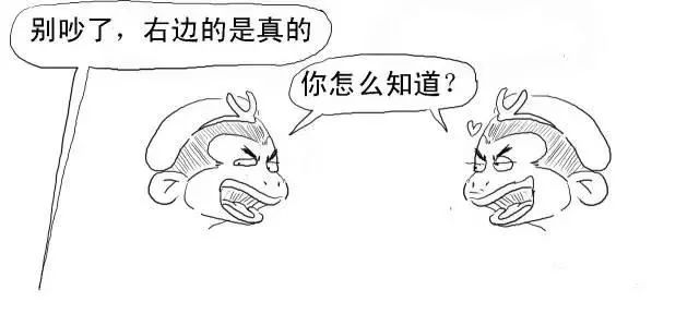 5ad8945b0001fdc906400288.jpg