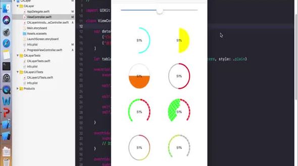 绘制百分比文本