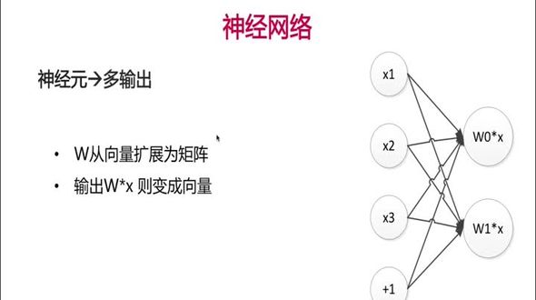 神经元多输出