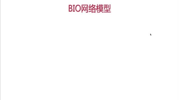 BIO网络模型