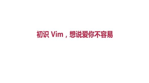初识 Vim，想说爱你不容易