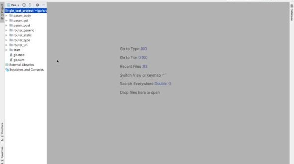 gin基础： 获取请求参数 - 获取bind参数