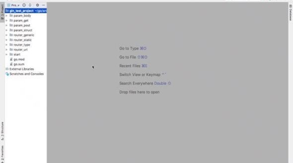 gin基础：验证请求参数 - 结构体验证