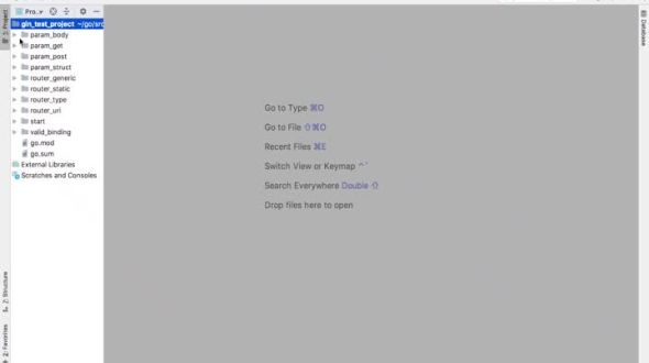 gin基础：验证请求参数 - 自定义验证规则