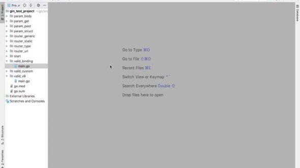 gin基础：验证请求参数 - 多语言翻译验证