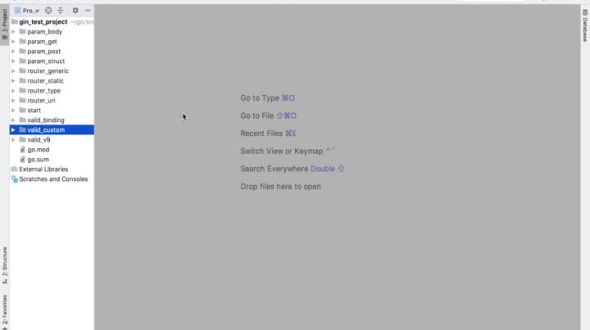 gin基础：中间件-使用