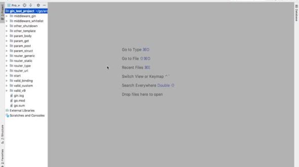 gin基础拓展:自动化证书配置