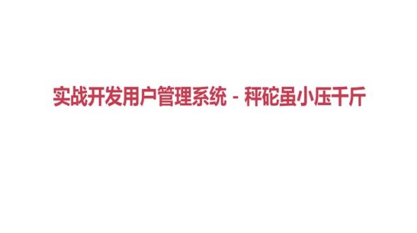 实战开发用户管理系统 - 章节介绍