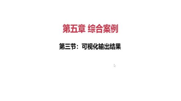 可视化结果输出