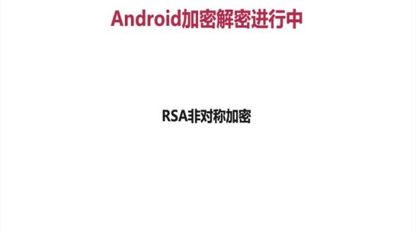 RSA模块