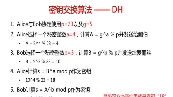 CS网络模型