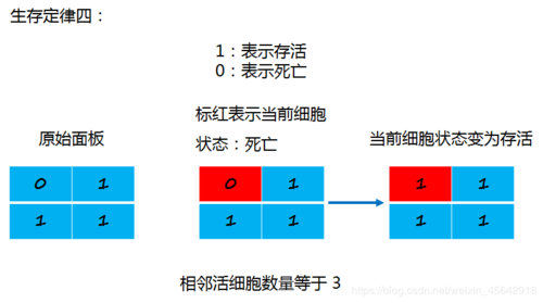 生存定律四 | 图解