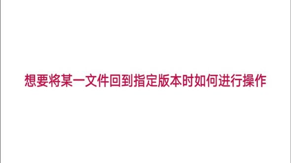 想要将某一文件回到指定版本时如何进行操作