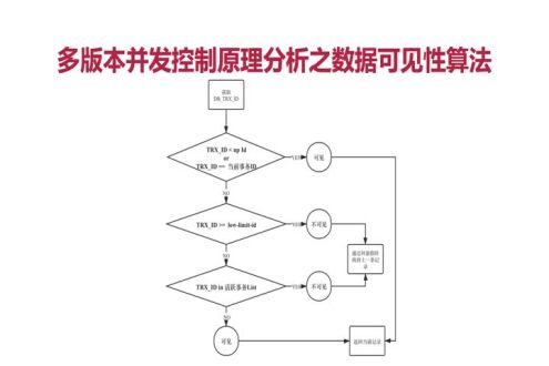 数据可见性算法