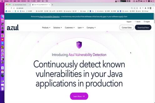 如何基于ZULU JDK8 安装与环境切换？