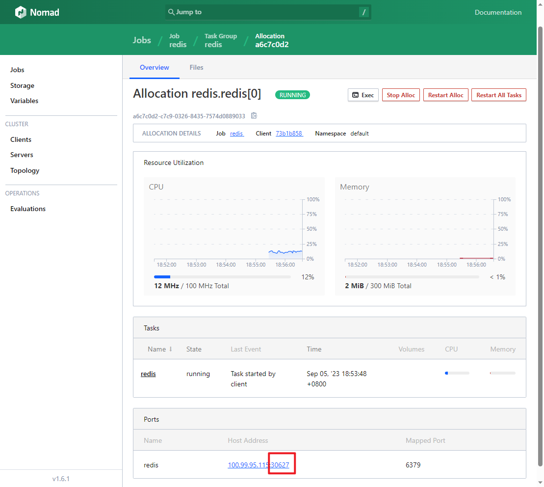 Nomad Redis Job Map Port