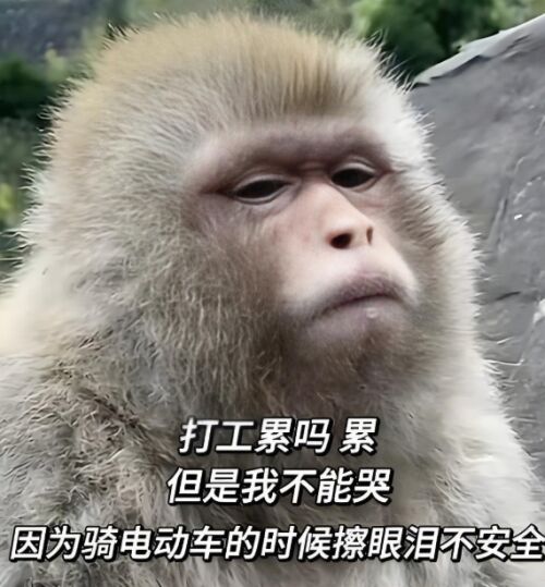 https://img1.sycdn.imooc.com/8517db6708ecf4fa05700615.jpg