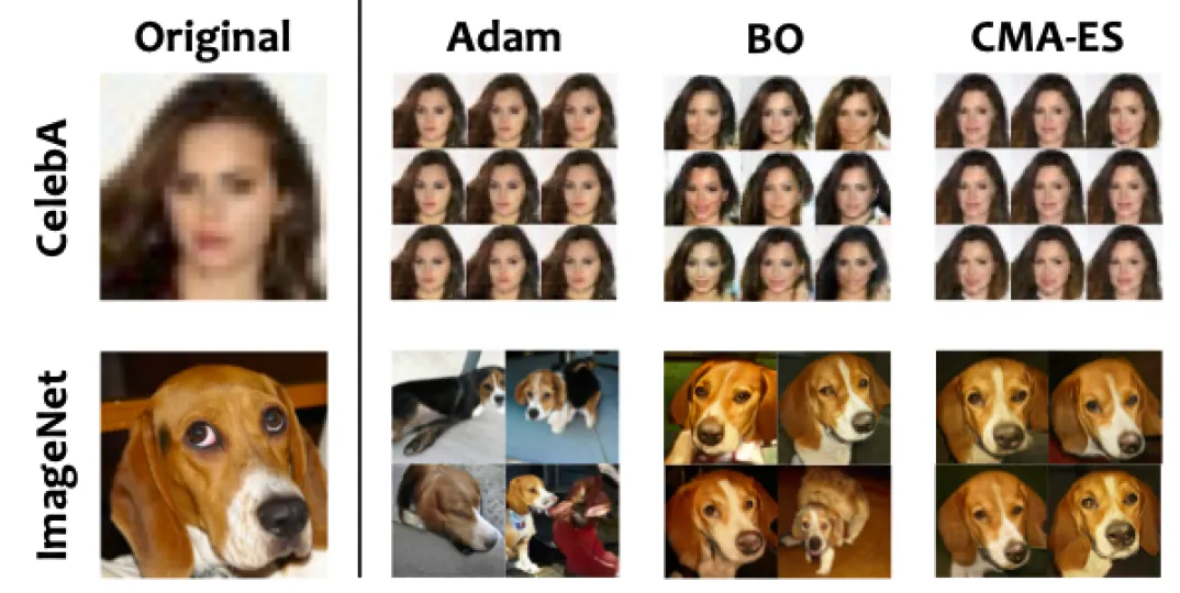 图5 梯度优化策略(Adam)