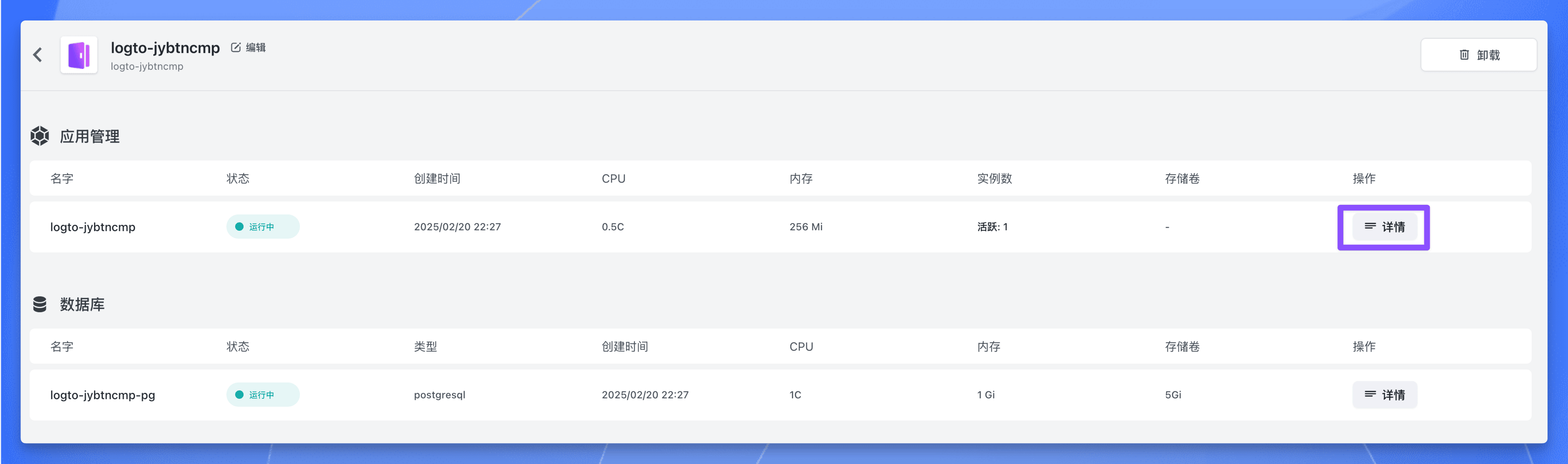 Logto 应用详情页面部署完成状态