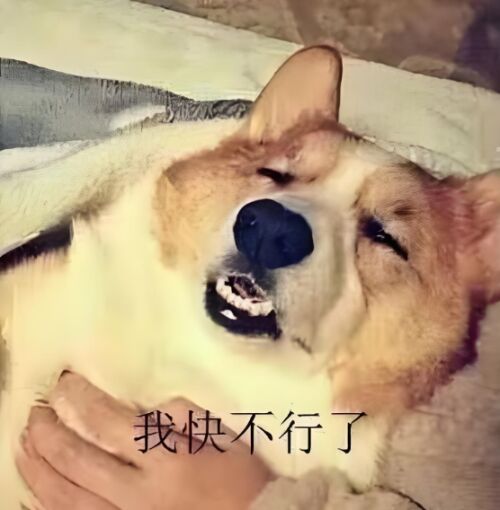 https://img1.sycdn.imooc.com/f6316c68086b3e4205560568.jpg