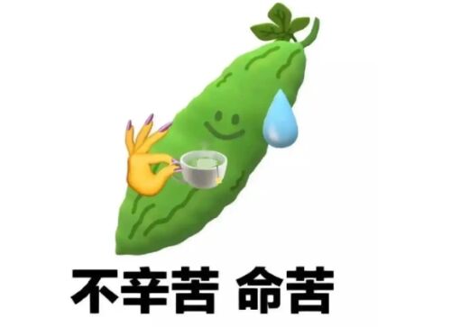 https://img1.sycdn.imooc.com/fa8a586808108d4f05770420.jpg