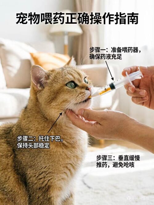 https://img1.sycdn.imooc.com/fce9276a0803f19109601280.jpg