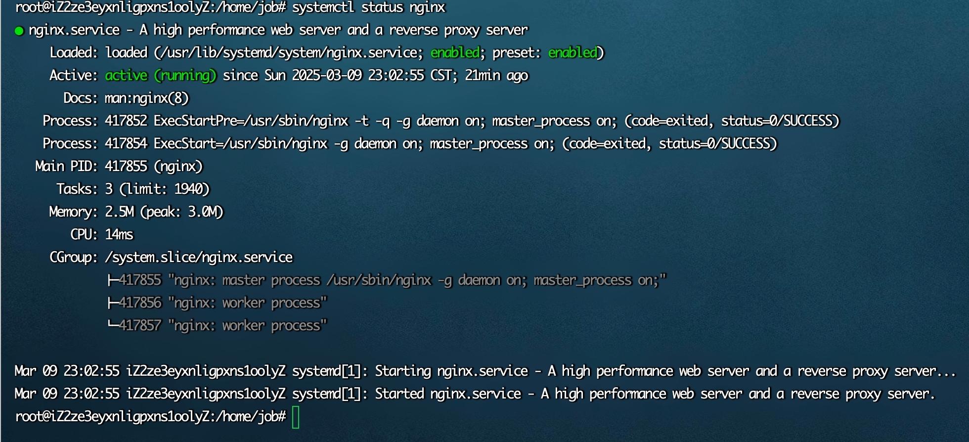 ginx